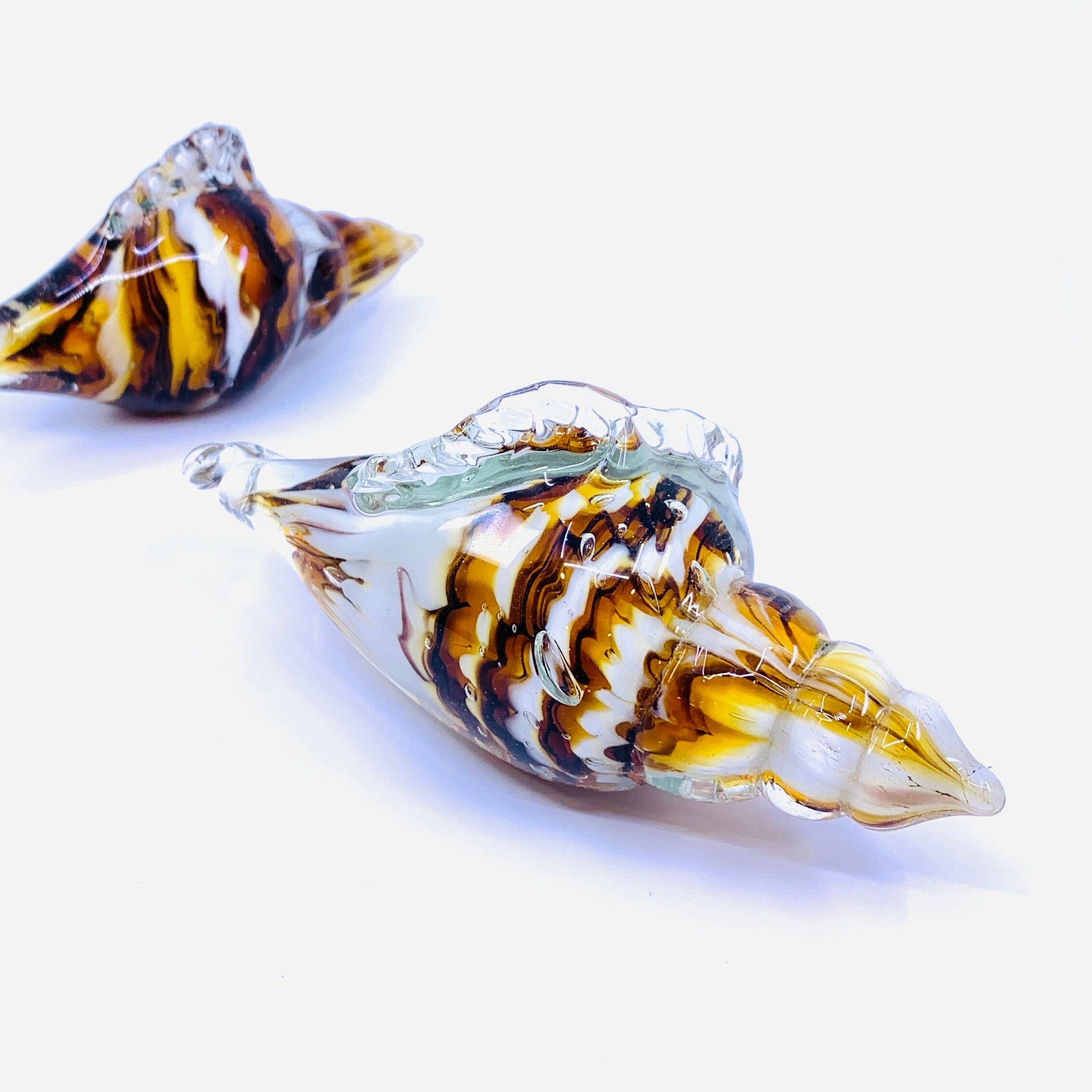 Glass Seashell, Natural - Luke Adams Glass Blowing Studio