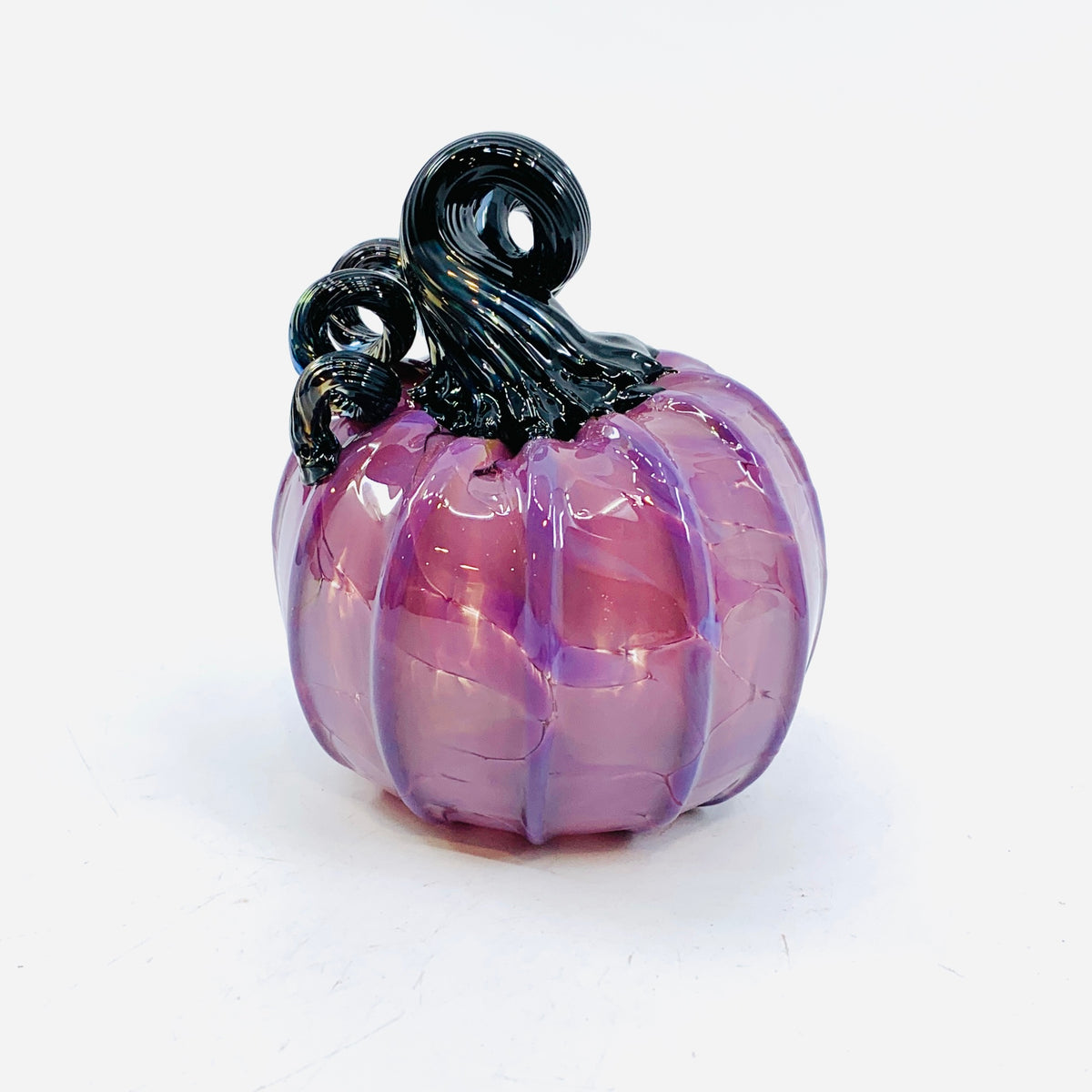 Daily Pumpkin 14 Fall Mini