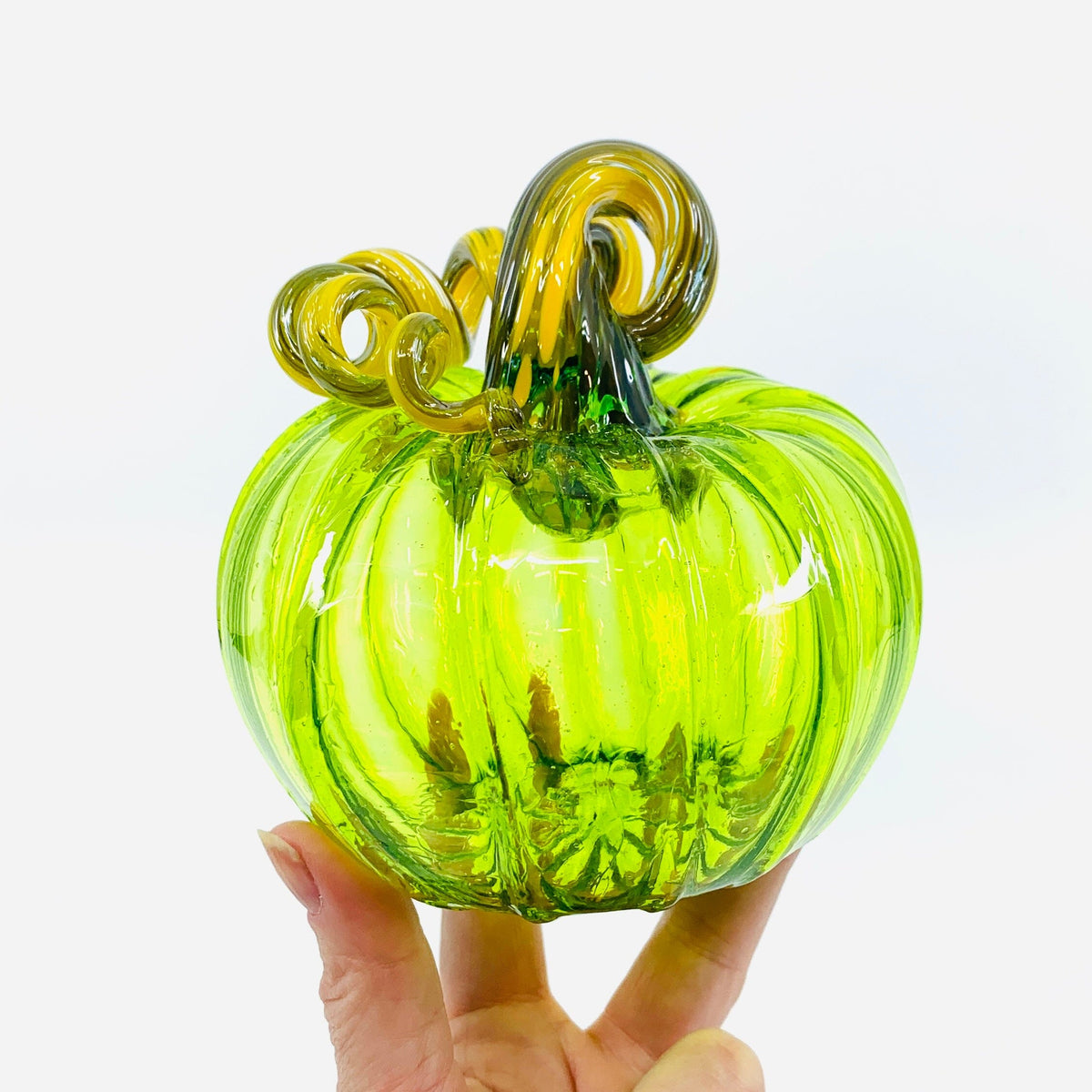 Daily Pumpkin 3549 Squat Gabby Luke Adams Glass Blowing Studio 