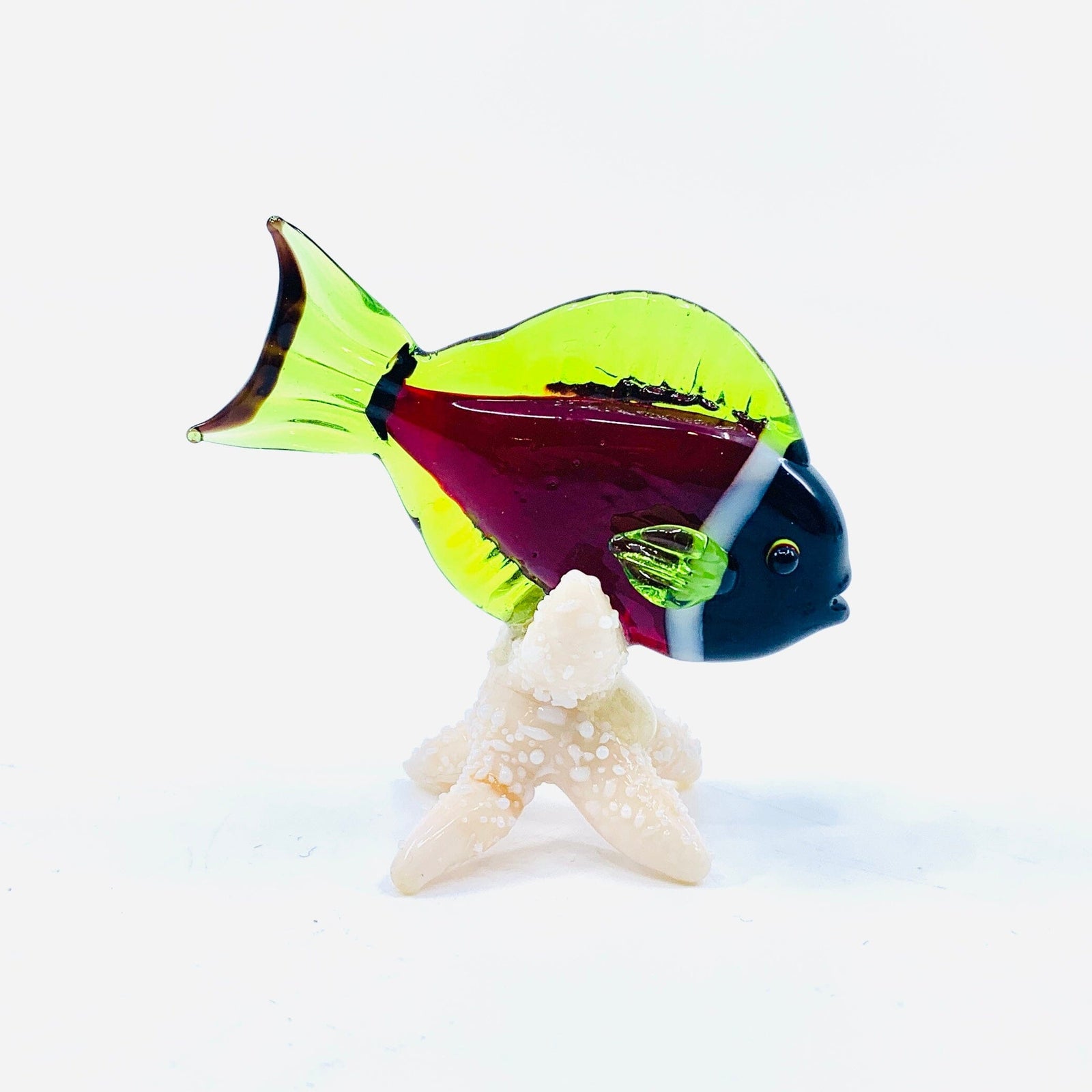 Tropical Fish on Sea Stars, Red Decor Beachcombers 