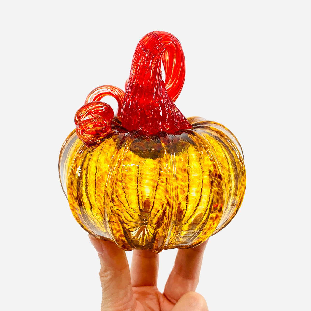 Daily Pumpkin 1635 Dessert Squat
