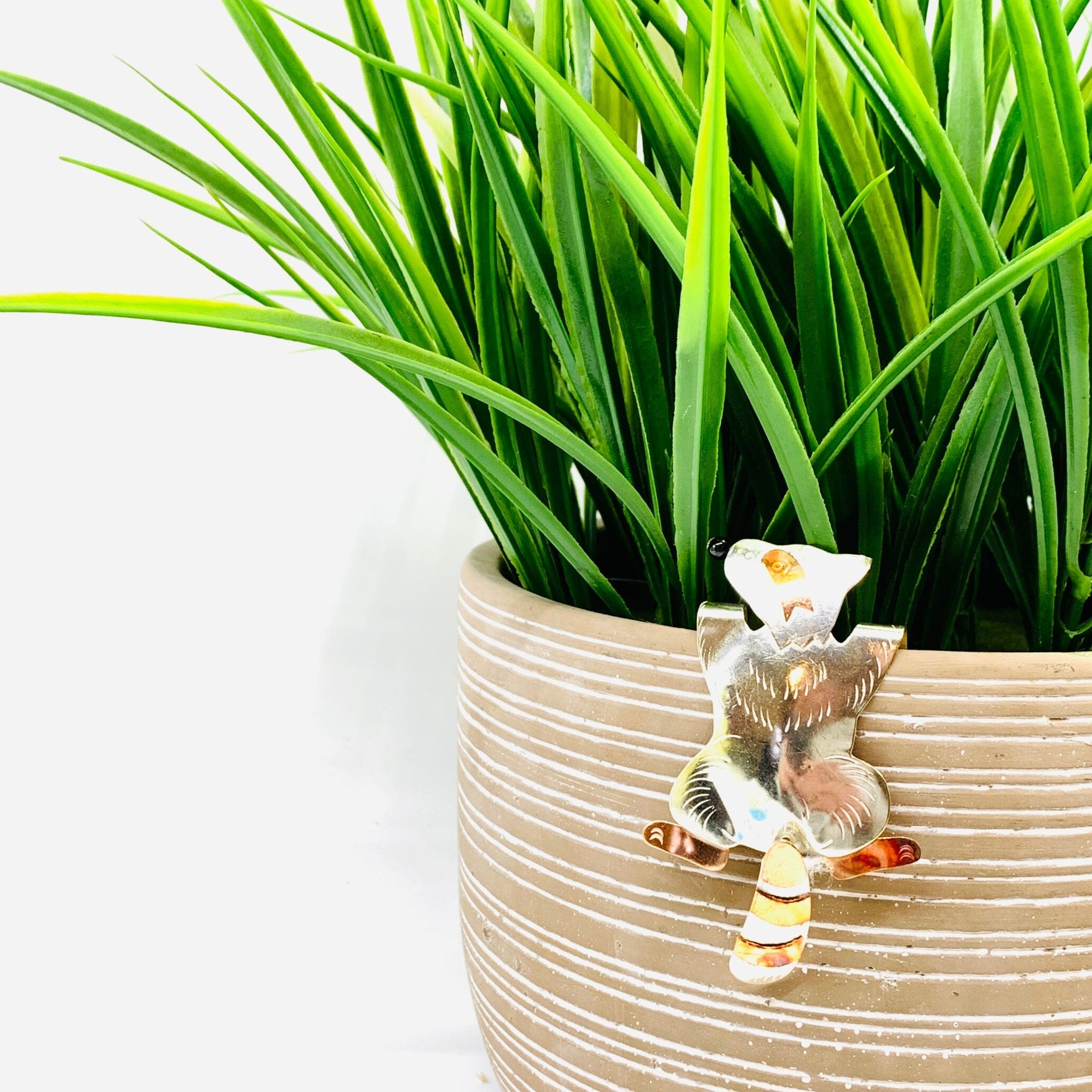 raccoon plant pot Pot Huggers 21, Roxie Raccoon