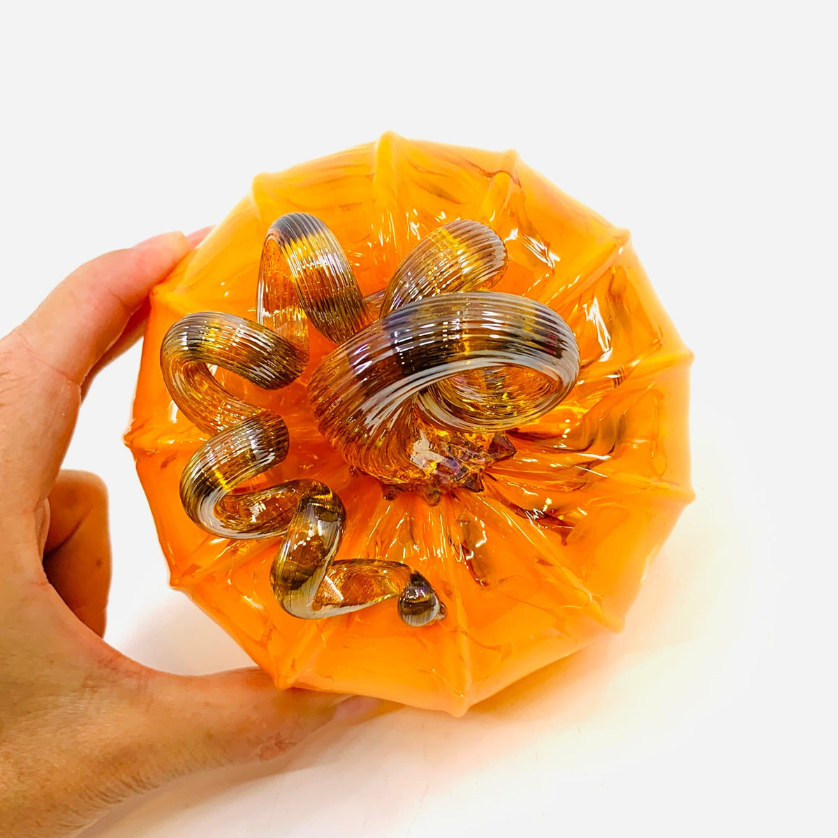 Daily Pumpkin 3120 Fall Squat Gabby Luke Adams Glass Blowing Studio 