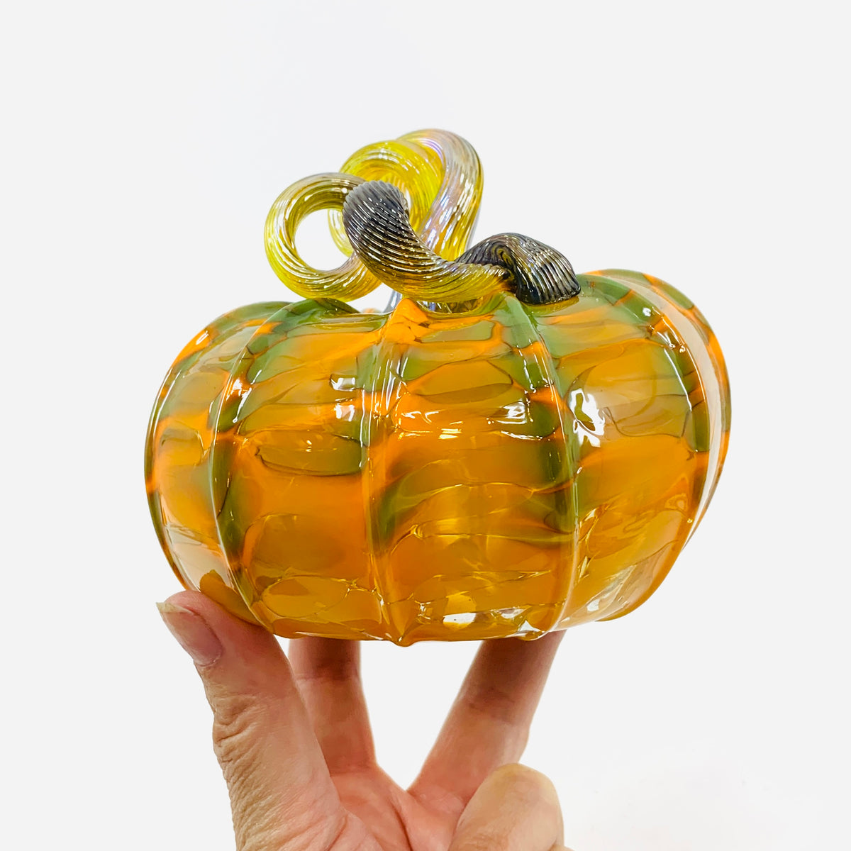 Daily Pumpkin 3400 Oops Squat