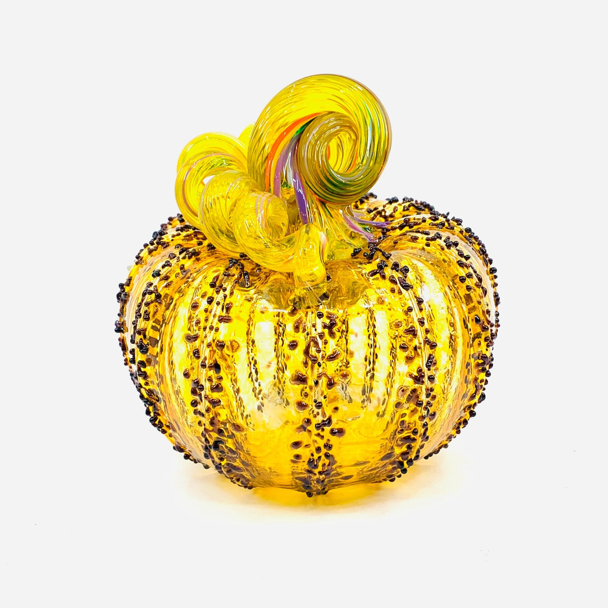 Daily Pumpkin 2564 Squat