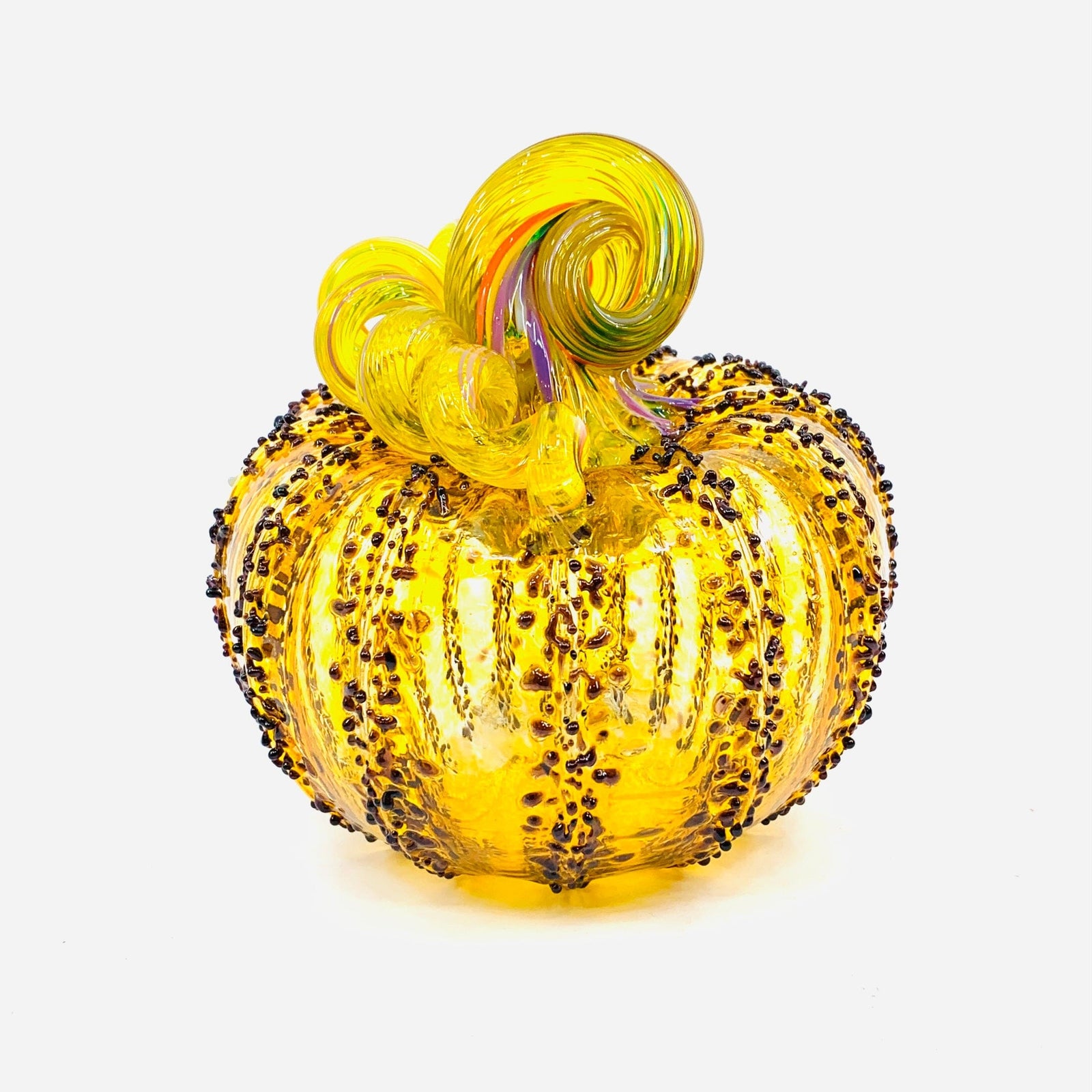 Daily Pumpkin 2564 Squat Gabby Luke Adams Glass Blowing Studio 