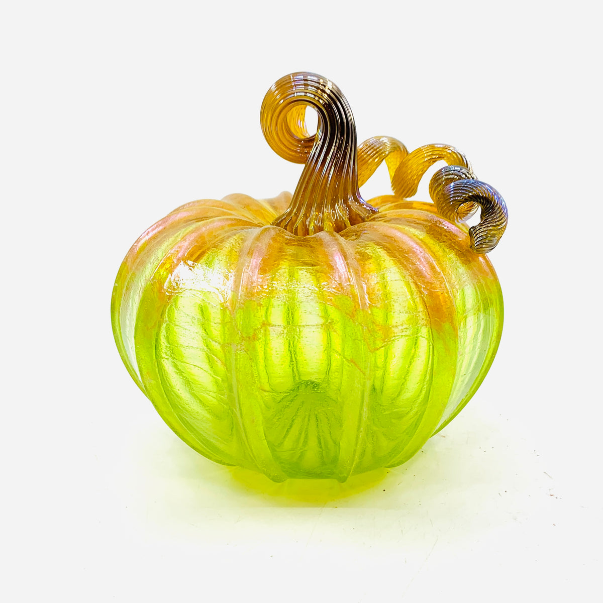 Daily Pumpkin 3981 Fall Shimmer Squat