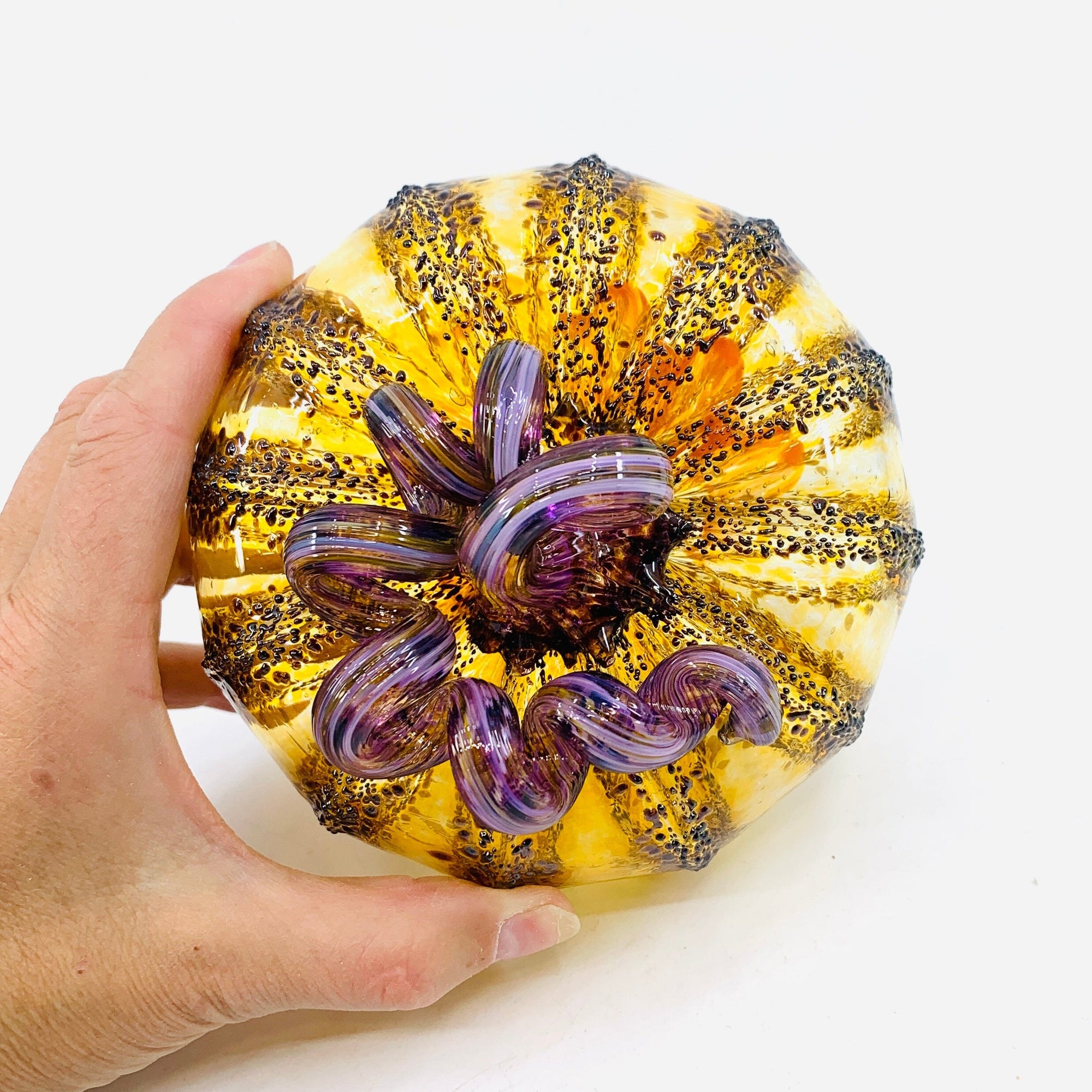 Daily Pumpkin 1796 Squat Gabby Luke Adams Glass Blowing Studio 