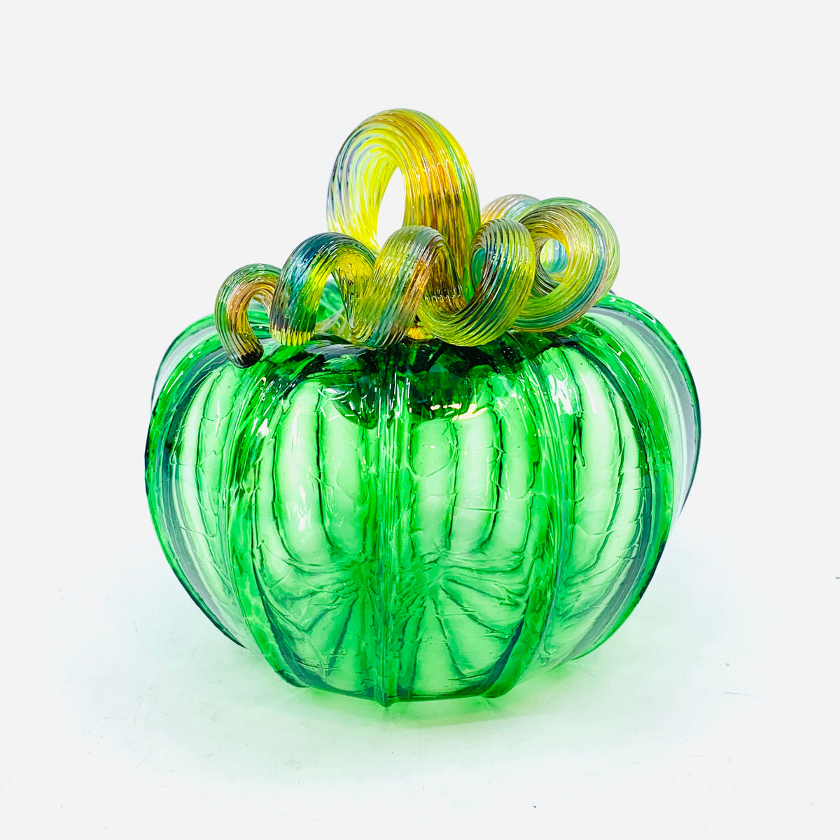 Daily Pumpkin 1116 Rainbow Stem Squat