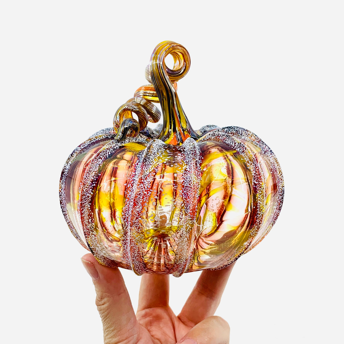 Daily Pumpkin 3496 Fall Squat