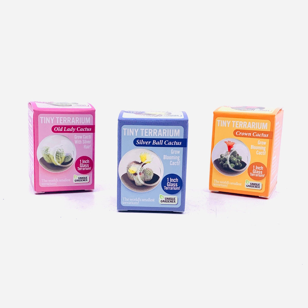 Tiny Terrarium, Crown Cactus Silver Circle Products 