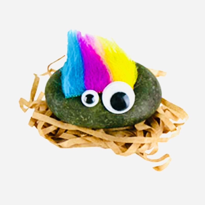 World's Smallest Pet Rock Super Impulse 