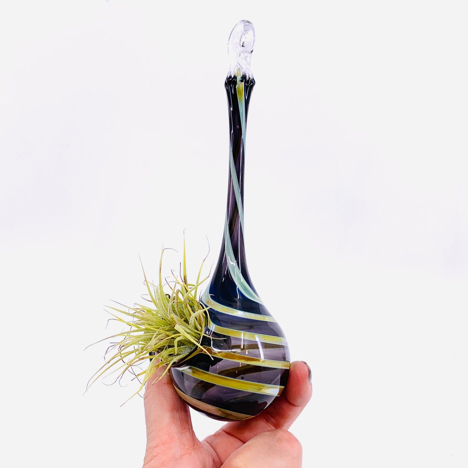 Air Plant Hanging Drop Vase 29 Decor Probstein Studios 