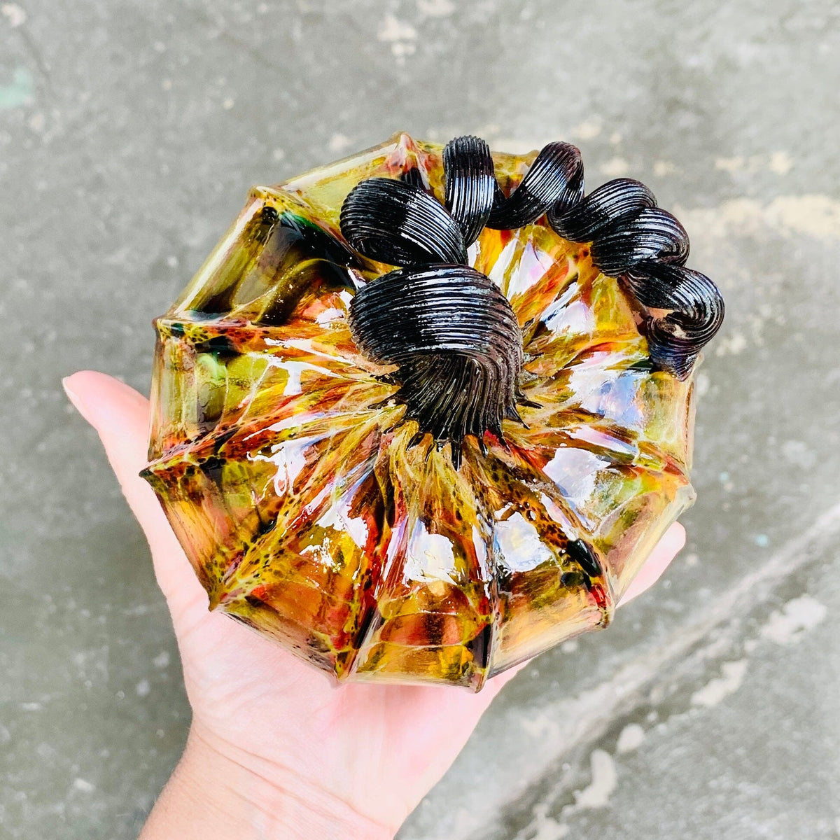 Best Pumpkin of The Day 3812 Fall Jumbo Squat Gabby Luke Adams Glass Blowing Studio 