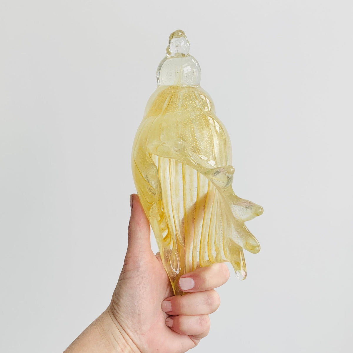Natural Glass Conch Shell Decor Beachcombers 