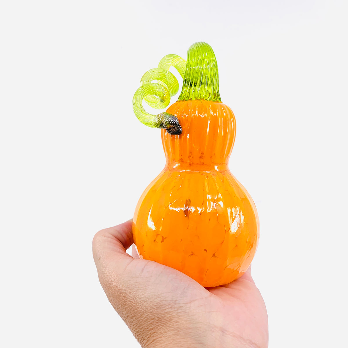 Daily Pumpkin 260 Gourd