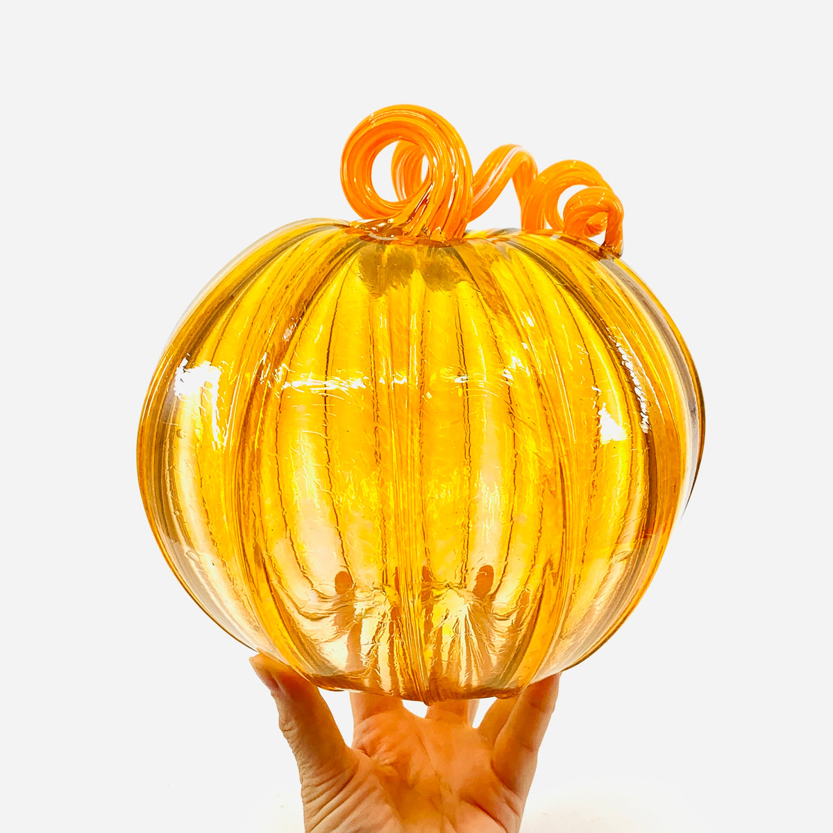 Daily Pumpkin 3330 Fall Large