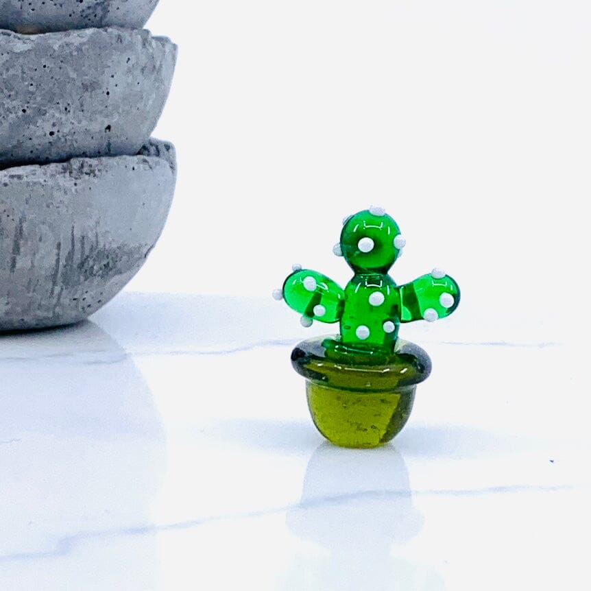 Mini Glass Cactus, Dotty GANZ 