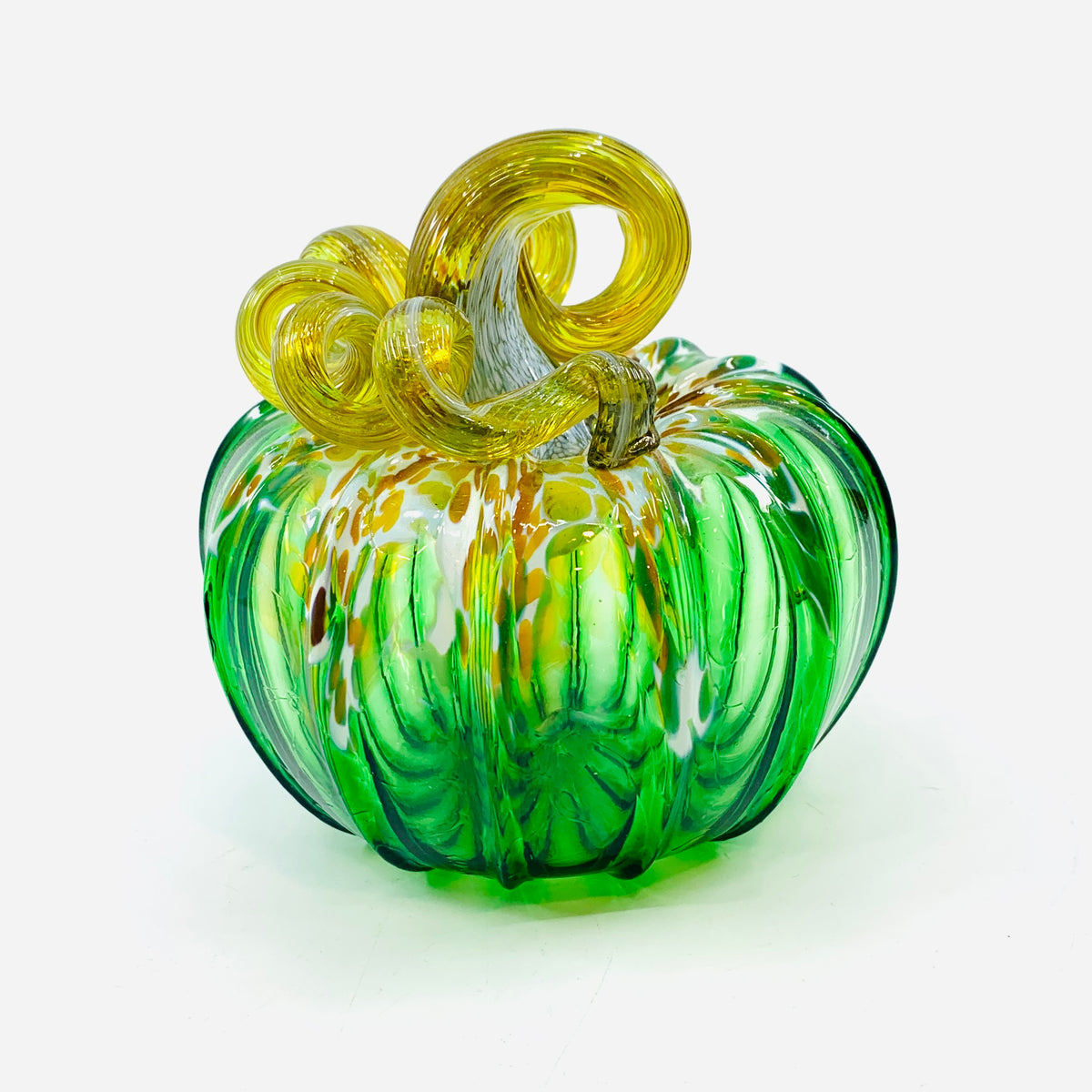 Daily Pumpkin 3370 Beachy Squat