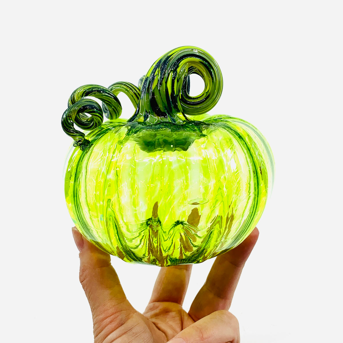 Daily Pumpkin 3713 Fall Squat