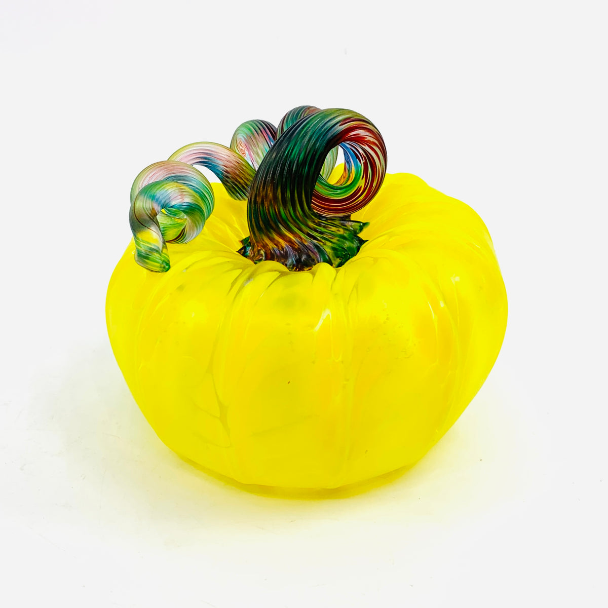 Daily Pumpkin 1191 Matte “Rainbow Stem” Squat