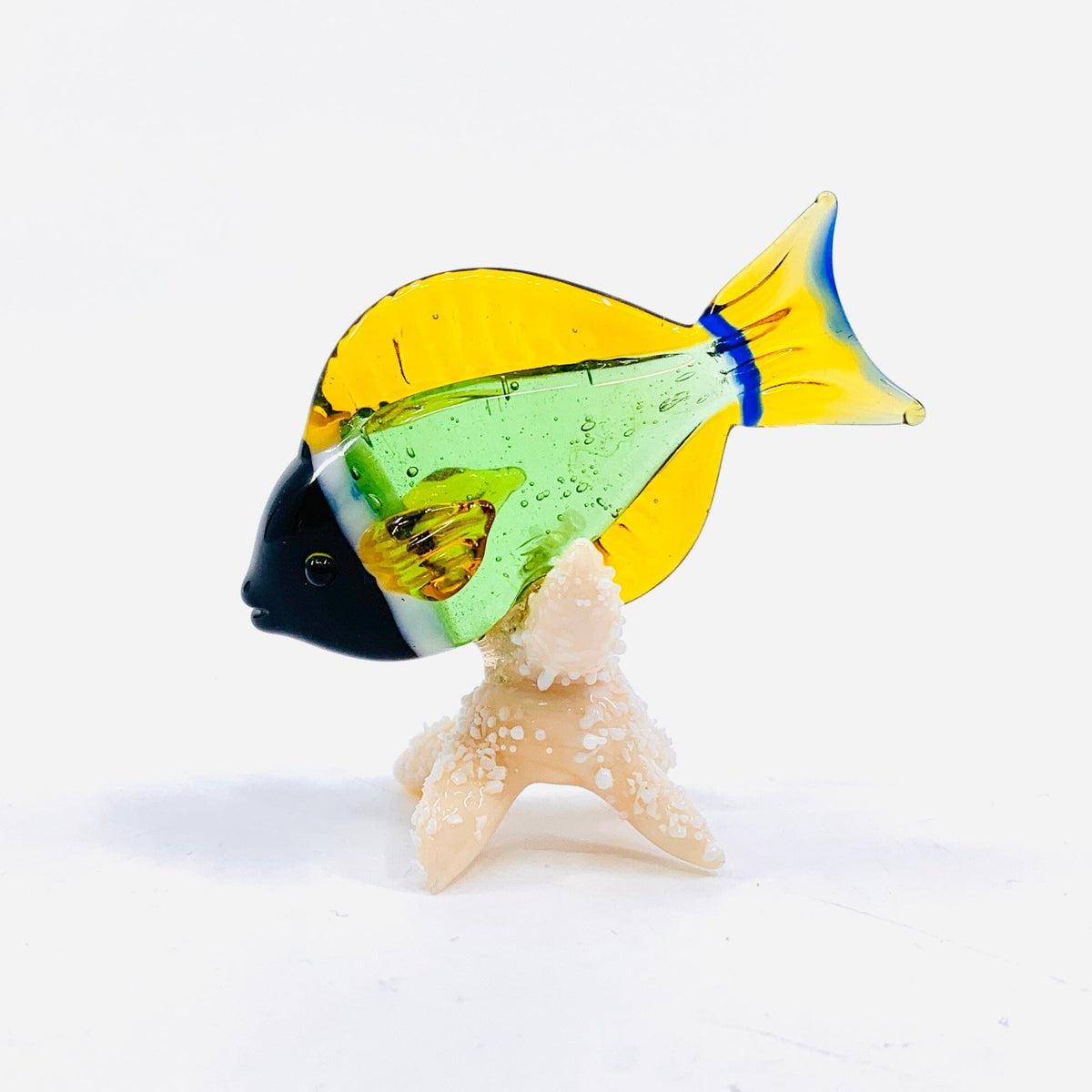 Tropical Fish on Sea Stars, Green Decor Beachcombers 