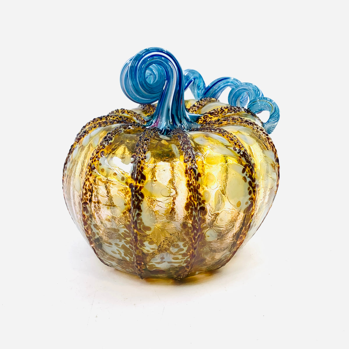 Daily Pumpkin 3146 Fall Squat
