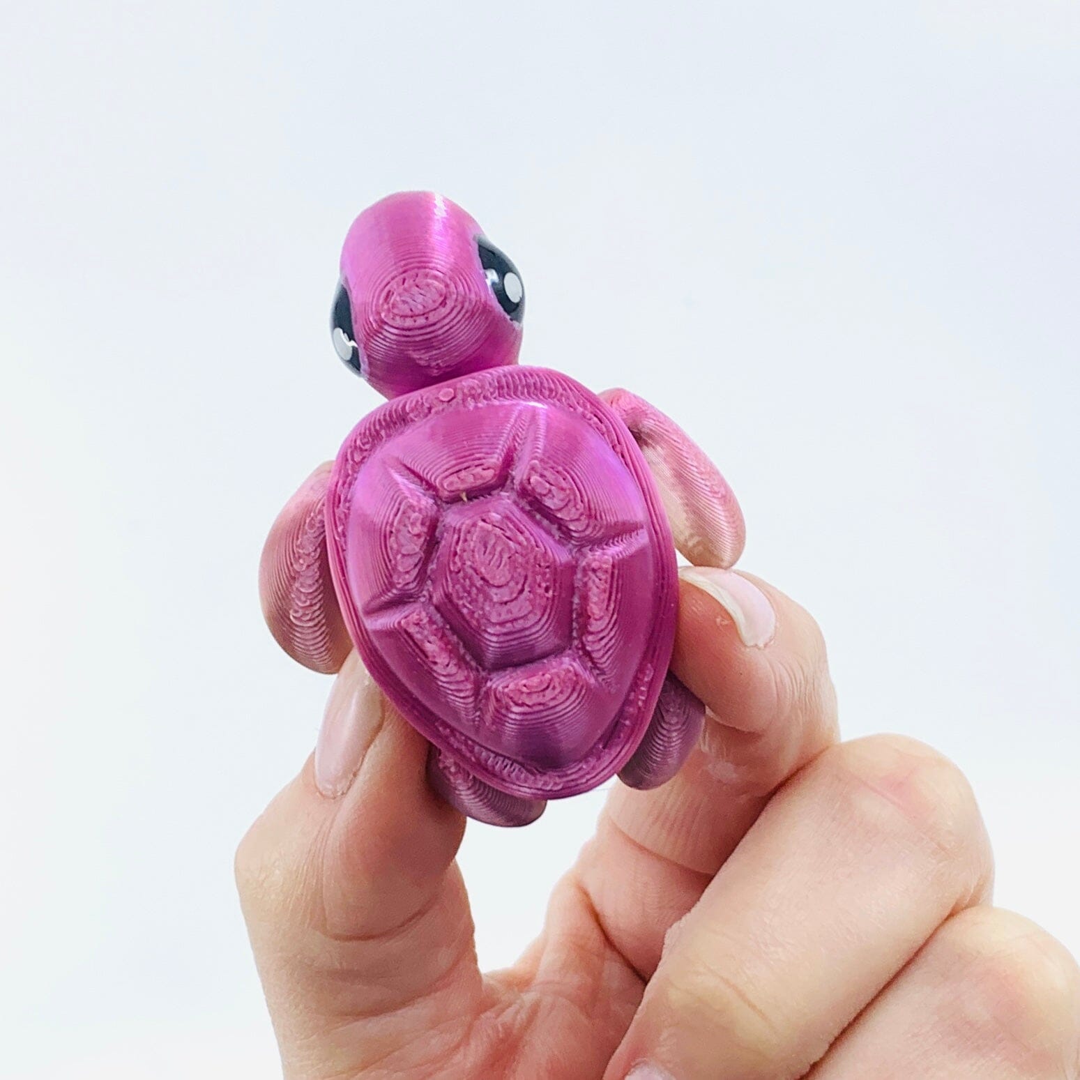 3D-Print Animals, Baby Turtle - 36 LUZ CUSTOM DESIGN 