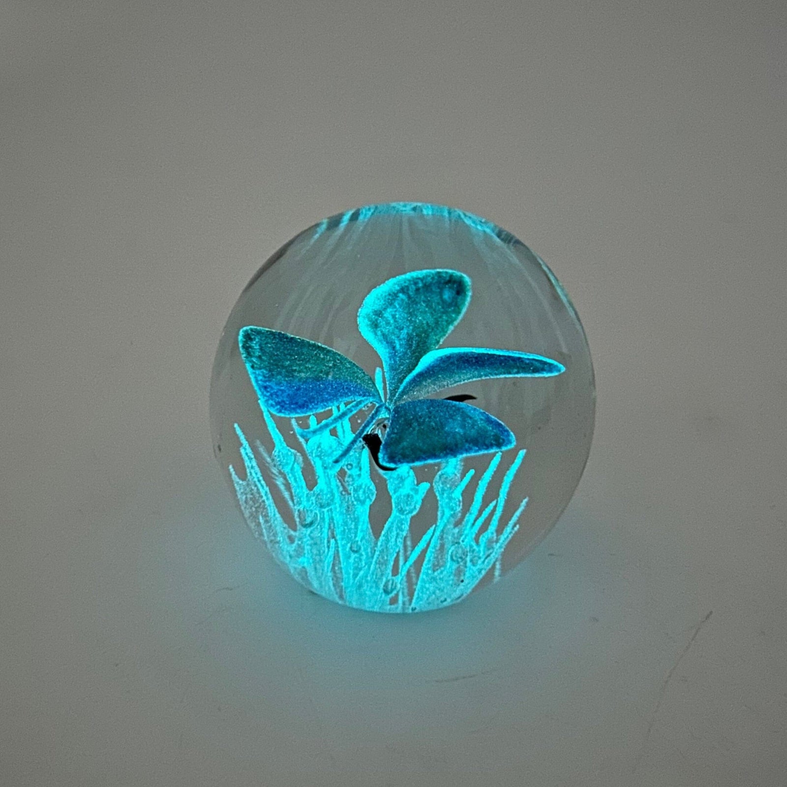Glow in The Dark Butterfly Paperweight, Blue Paperweight Dynasty 