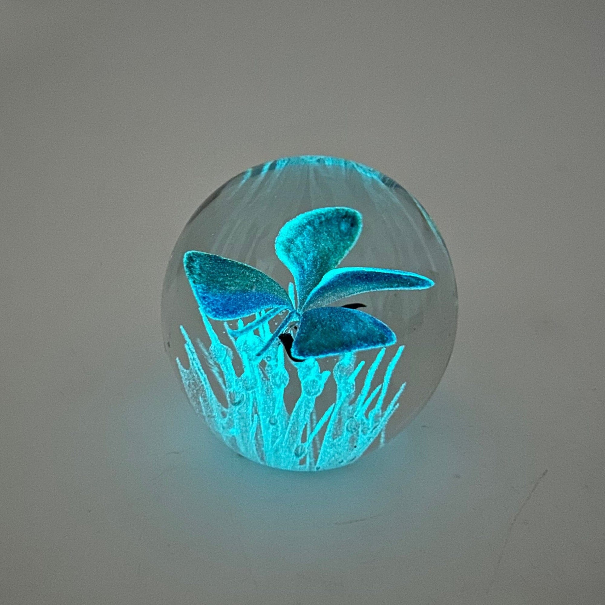 Glow in The Dark Butterfly Paperweight, Blue Paperweight Dynasty 