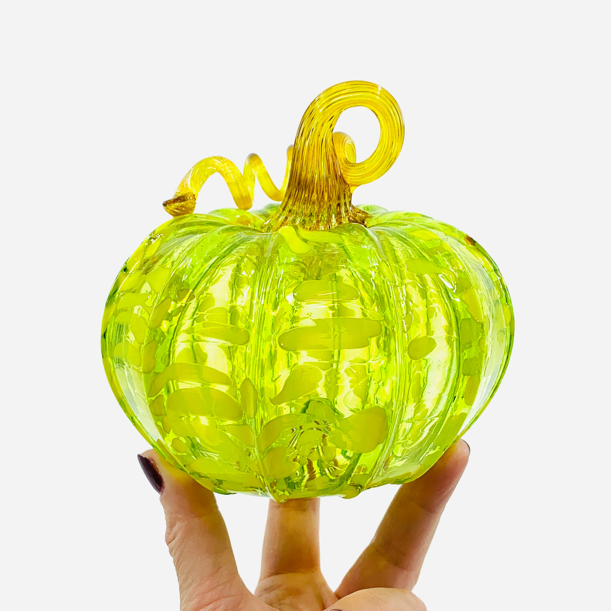 Daily Pumpkin 3930 Fall Squat