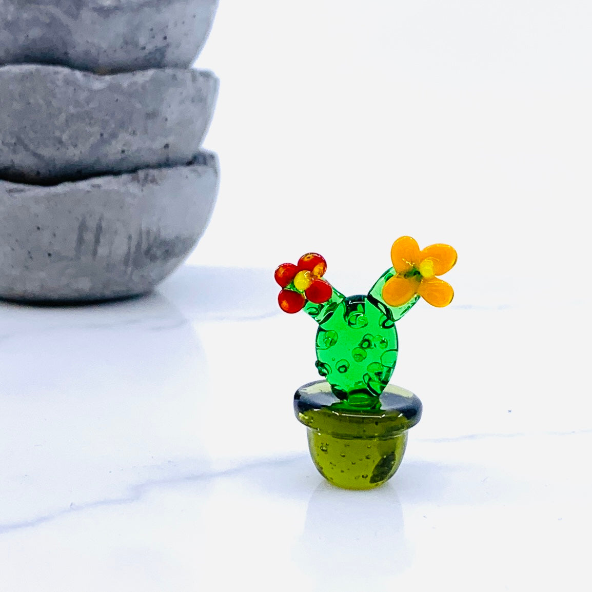 Mini Glass Cactus, Tepal
