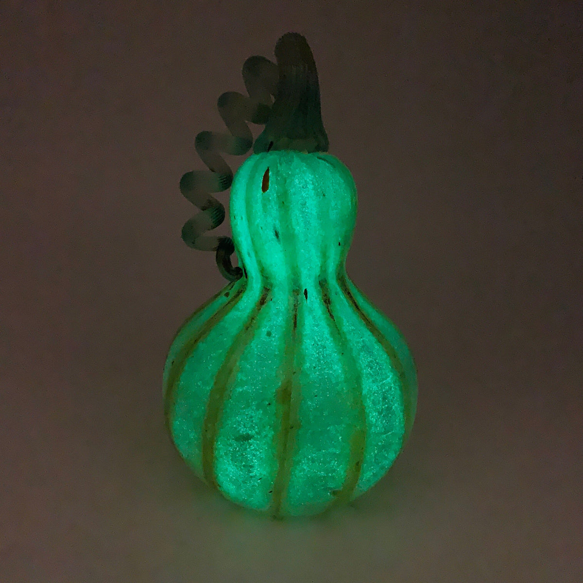 Daily Pumpkin 600 Glow Gourd Daily Pumpkin James Bilodeau 