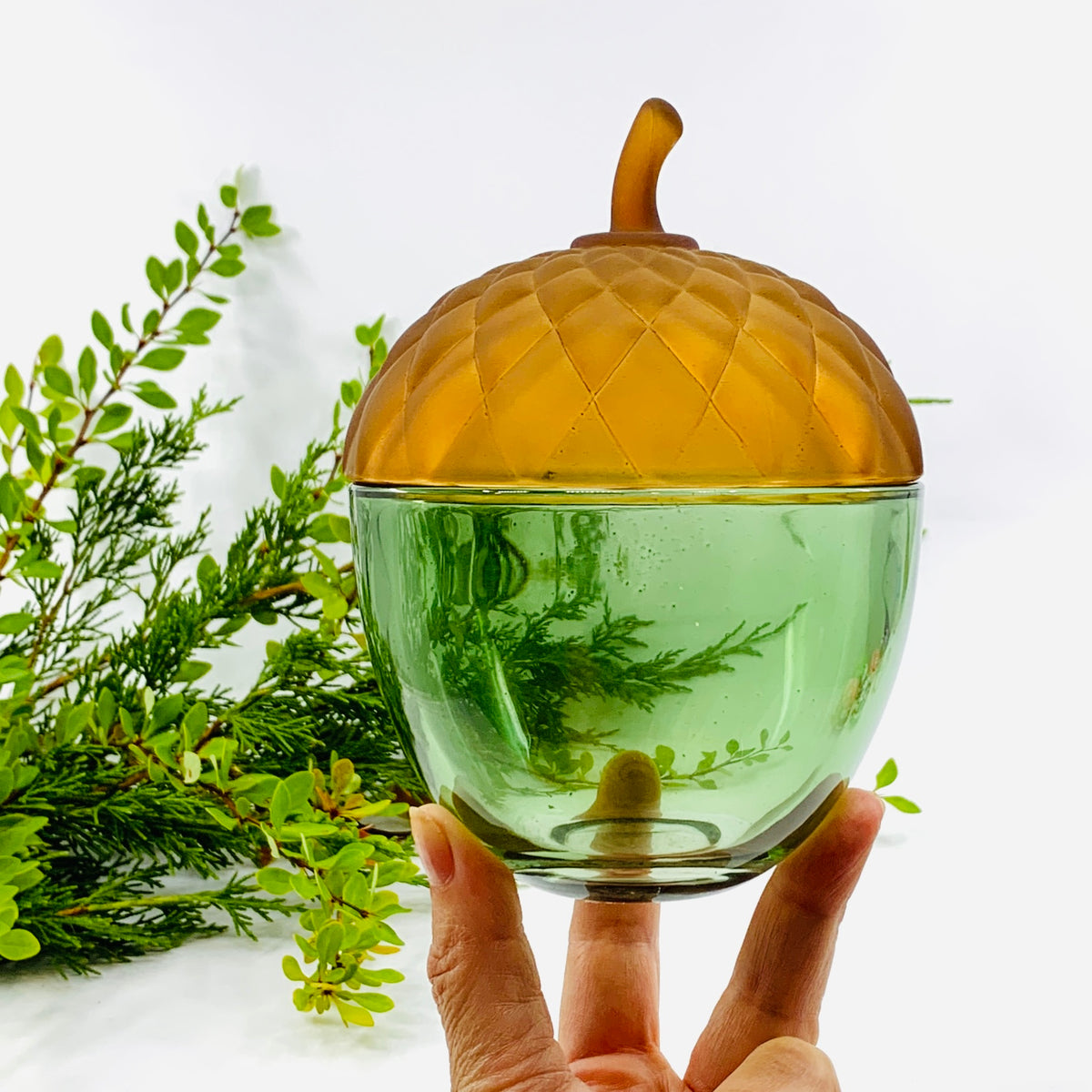 Glass Acorn Jar, Green