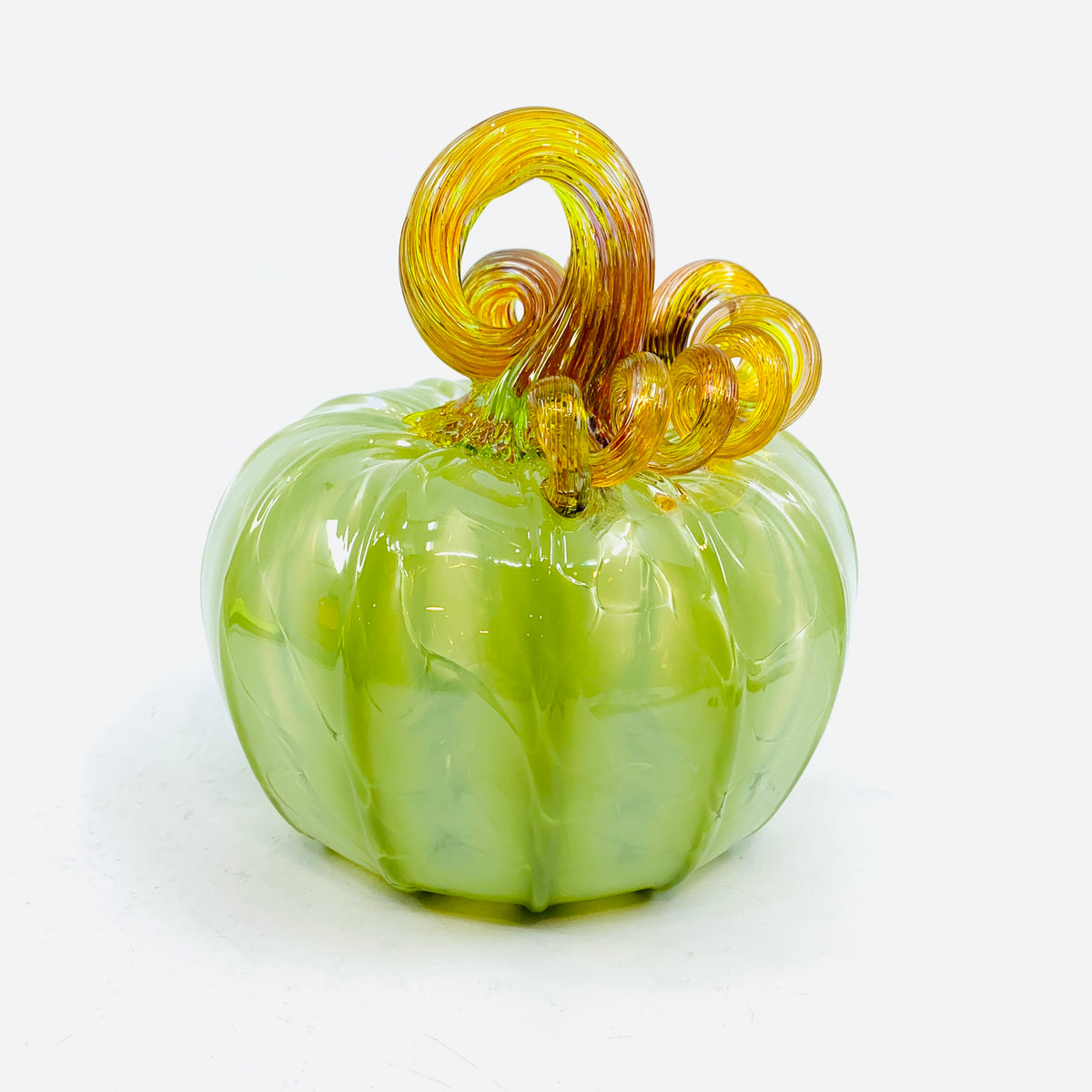 Daily Pumpkin 1140 Squat