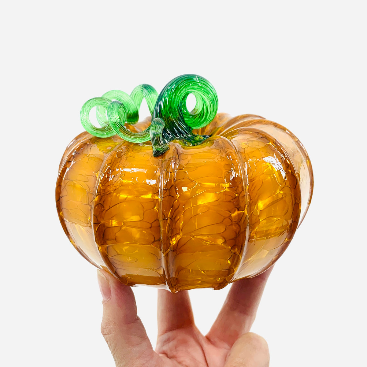 Daily Pumpkin 3347 Fall Squat