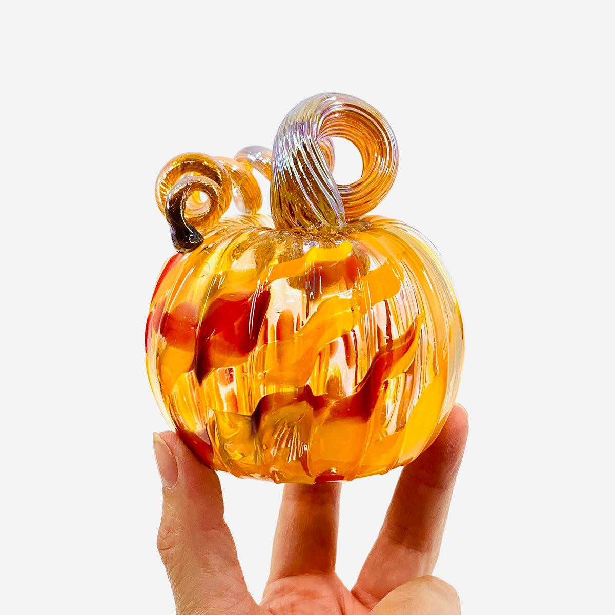 Daily Pumpkin 3285 Fall Mini