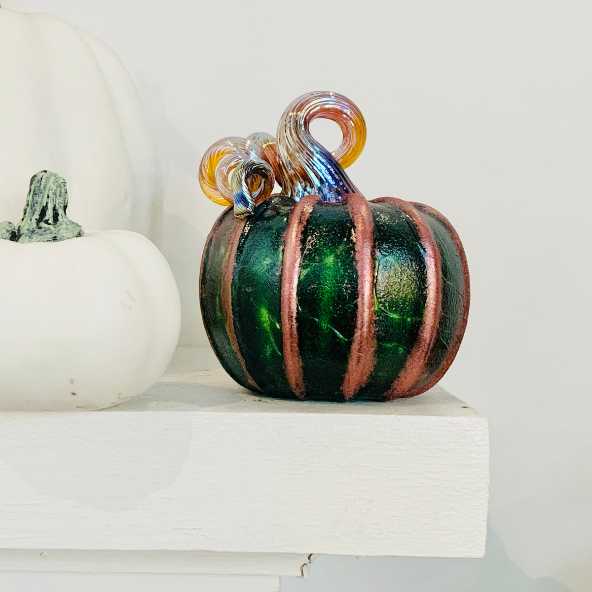 Best Pumpkin of The Day 1013 Shimmer Mini