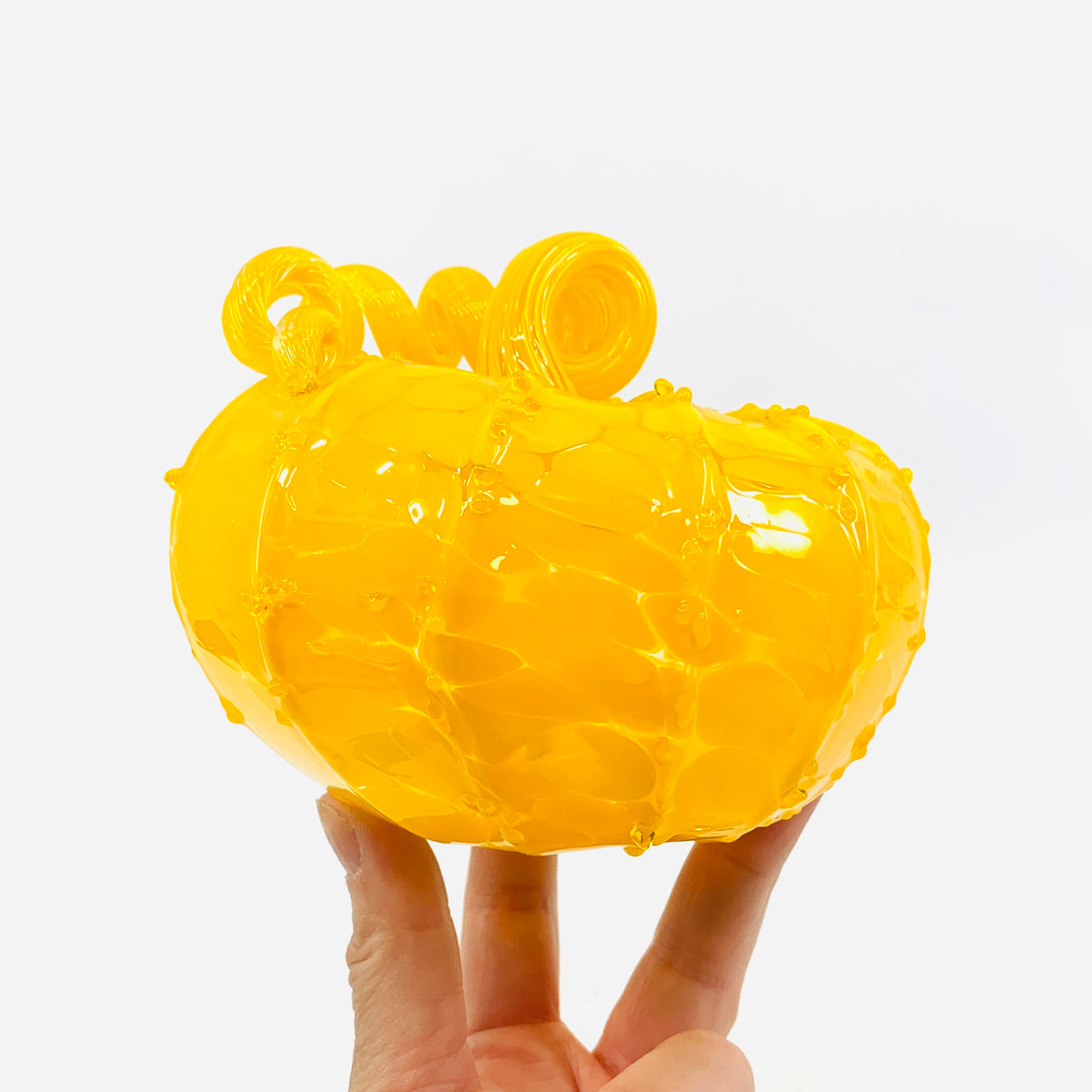 Daily Pumpkin 1319 "Oops" Squat