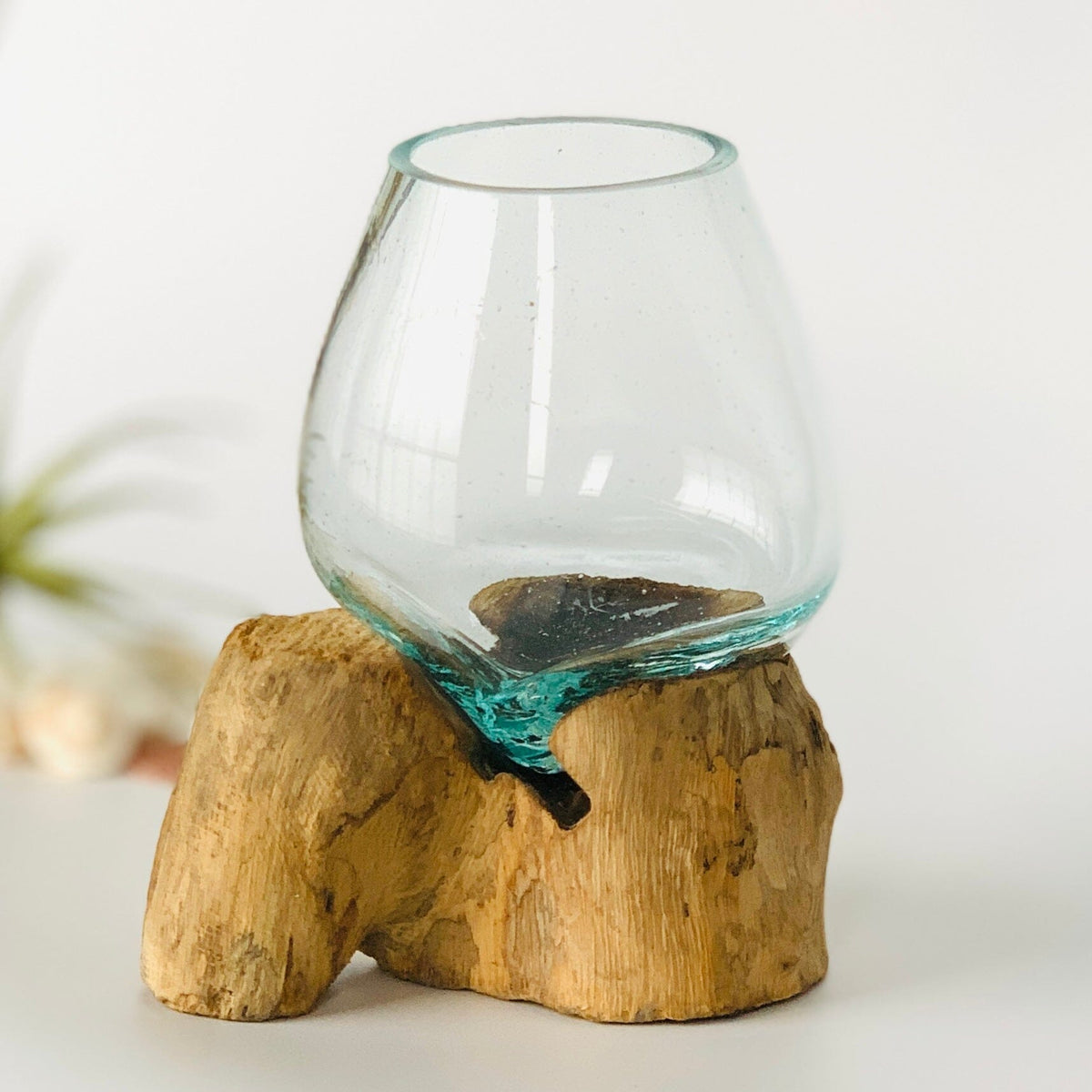 Small Driftwood Bubble Vase Decor Chesapeake Bay 