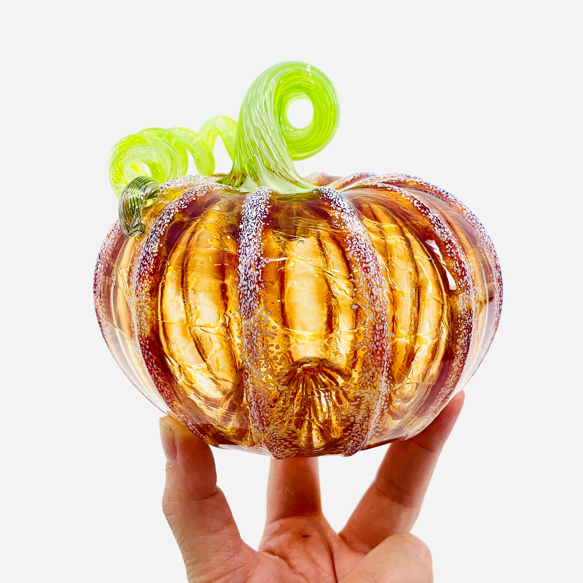 Daily Pumpkin 3682 Fall Squat