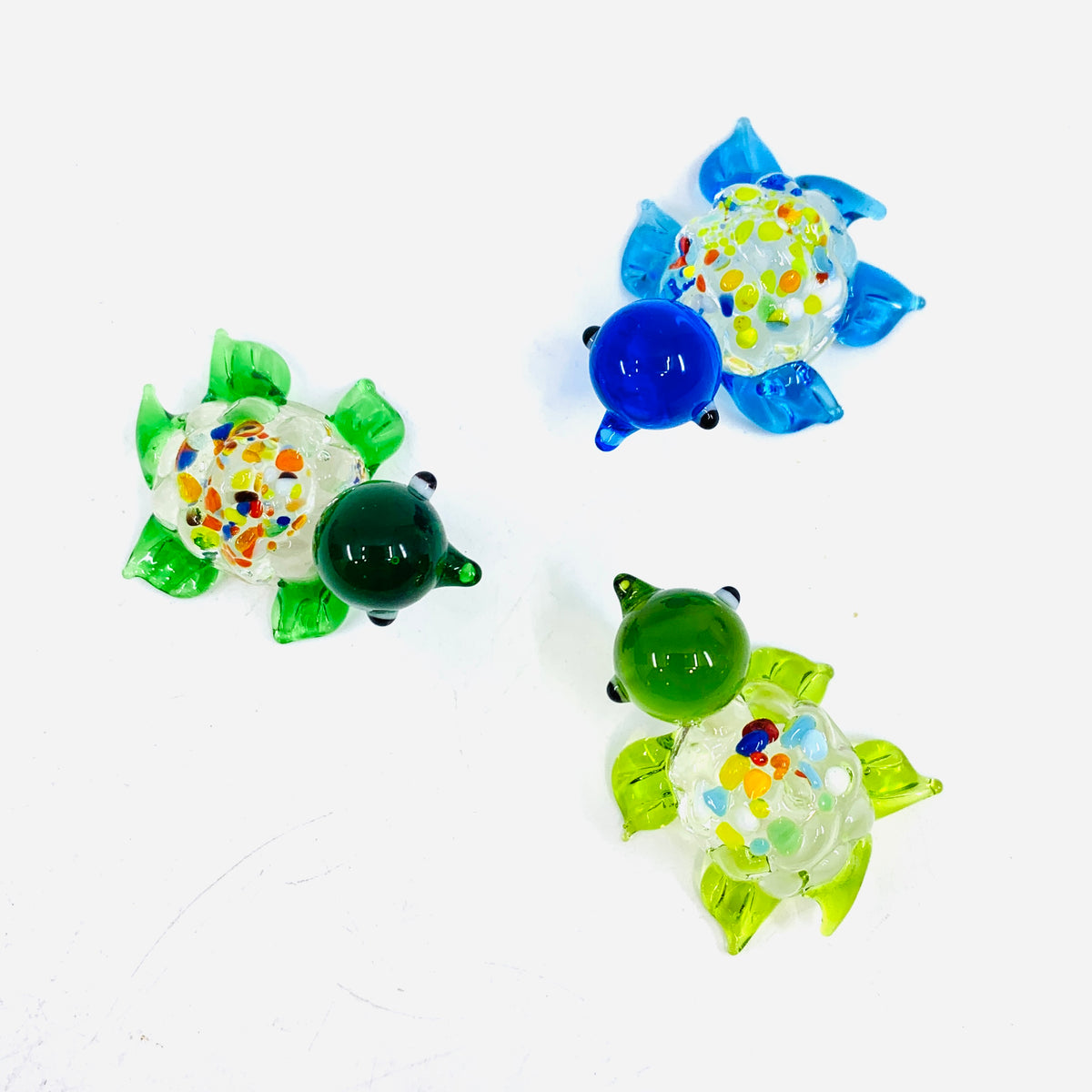 Glass Spotted Turtle