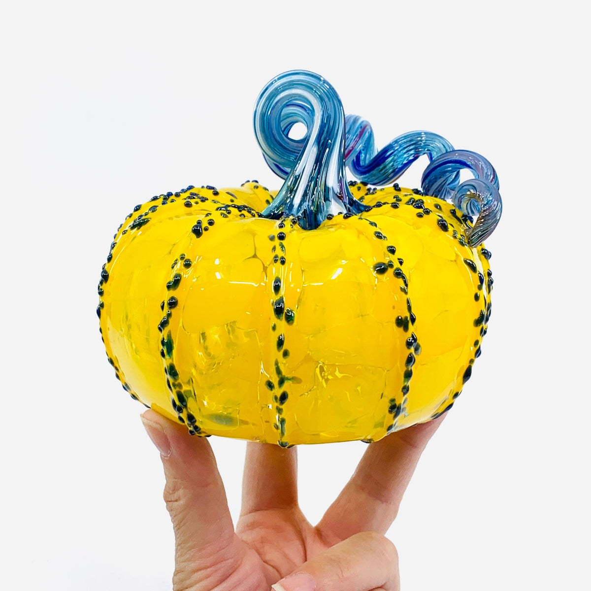 Daily Pumpkin 2600 Squat
