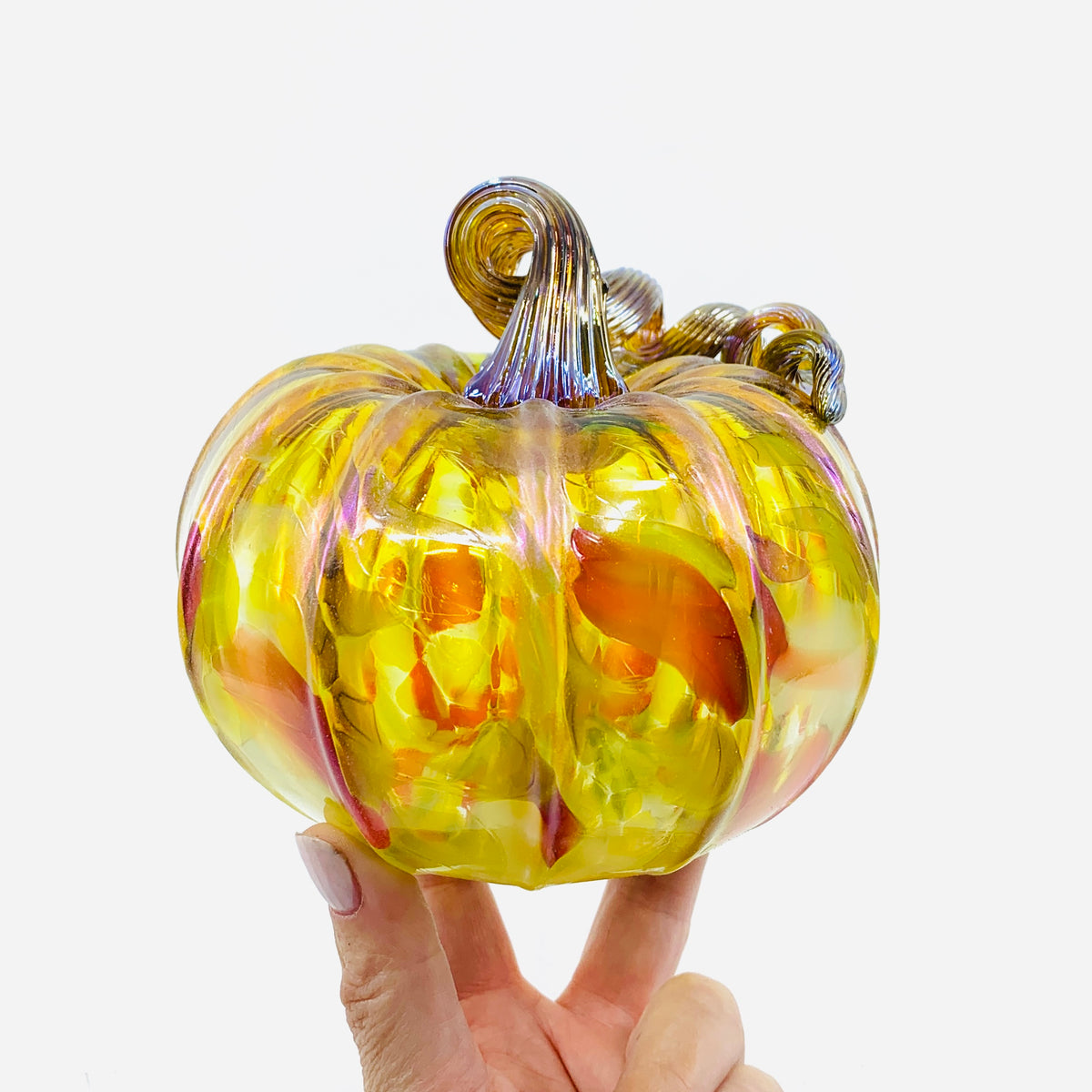 Daily Pumpkin 350 Fall Shimmer Squat