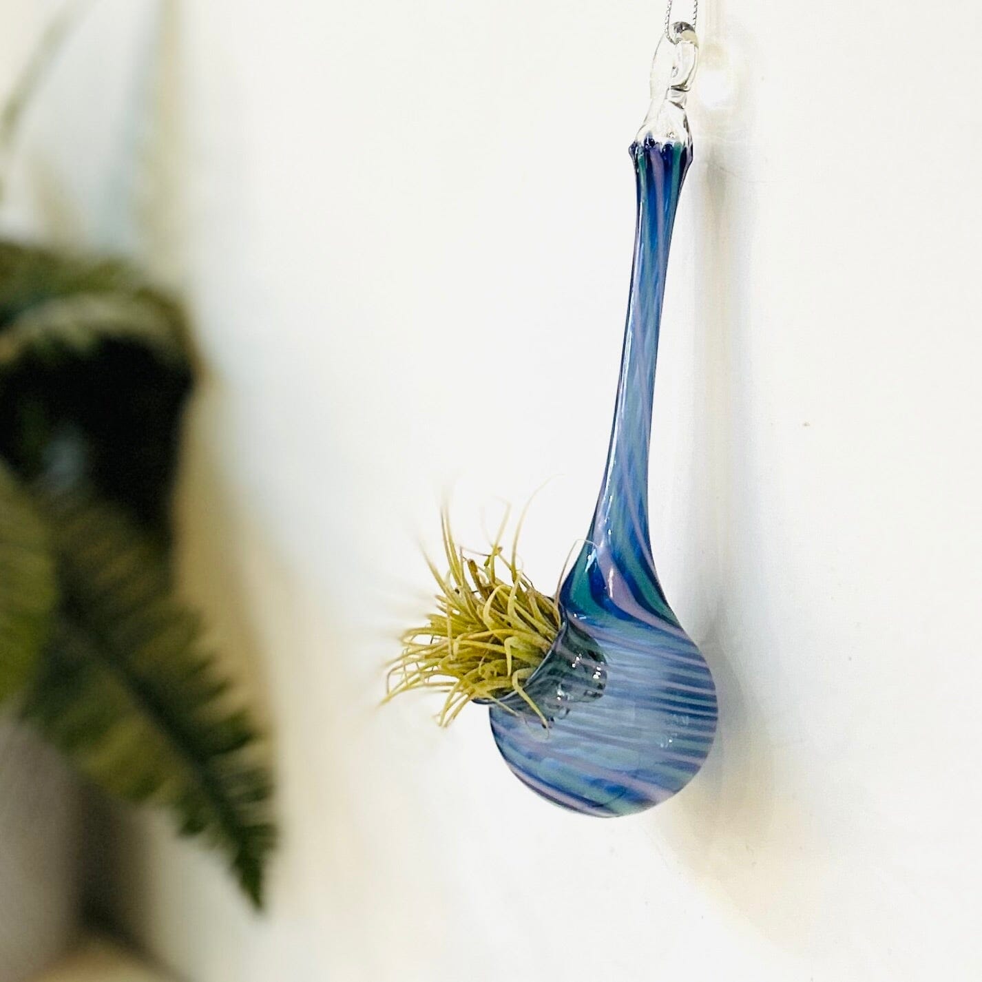 Air Plant Hanging Drop Vase 5 Decor Probstein Studios 