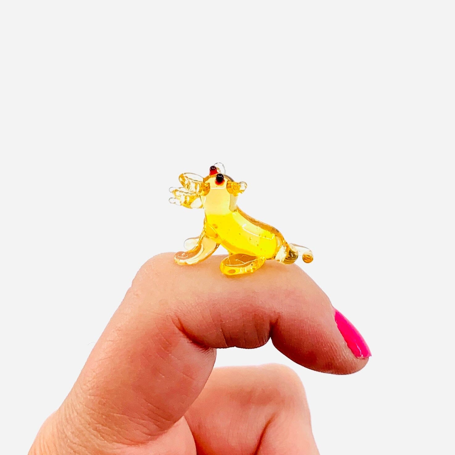 Teeny Teensie Coyote JACO 