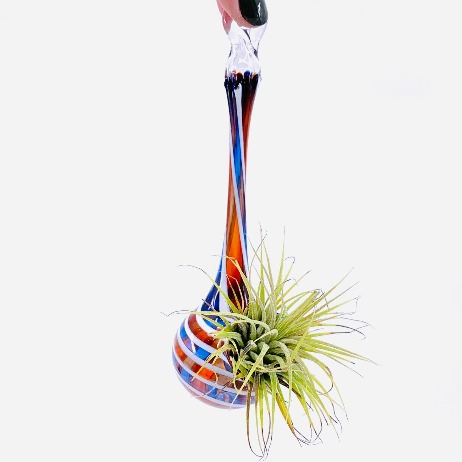 Air Plant Hanging Drop Vase 17 Decor Probstein Studios 