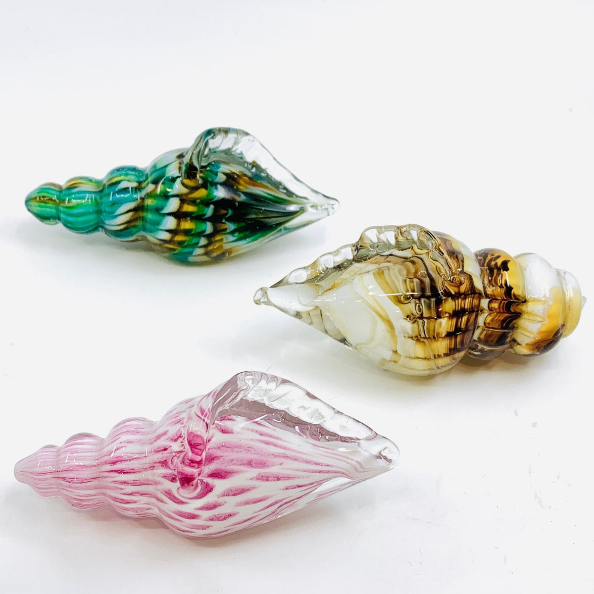Glass Seashell, Natural Decor Chesapeake Bay 
