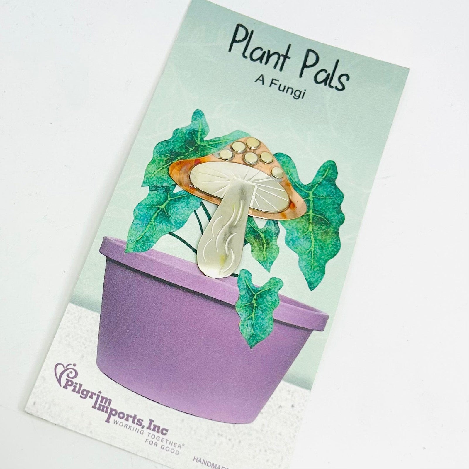 Plant Pals 25, A Fungi Miniature Pilgrim Imports 