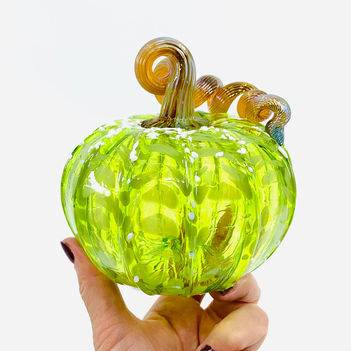 Daily Pumpkin 3945 Fall Squat